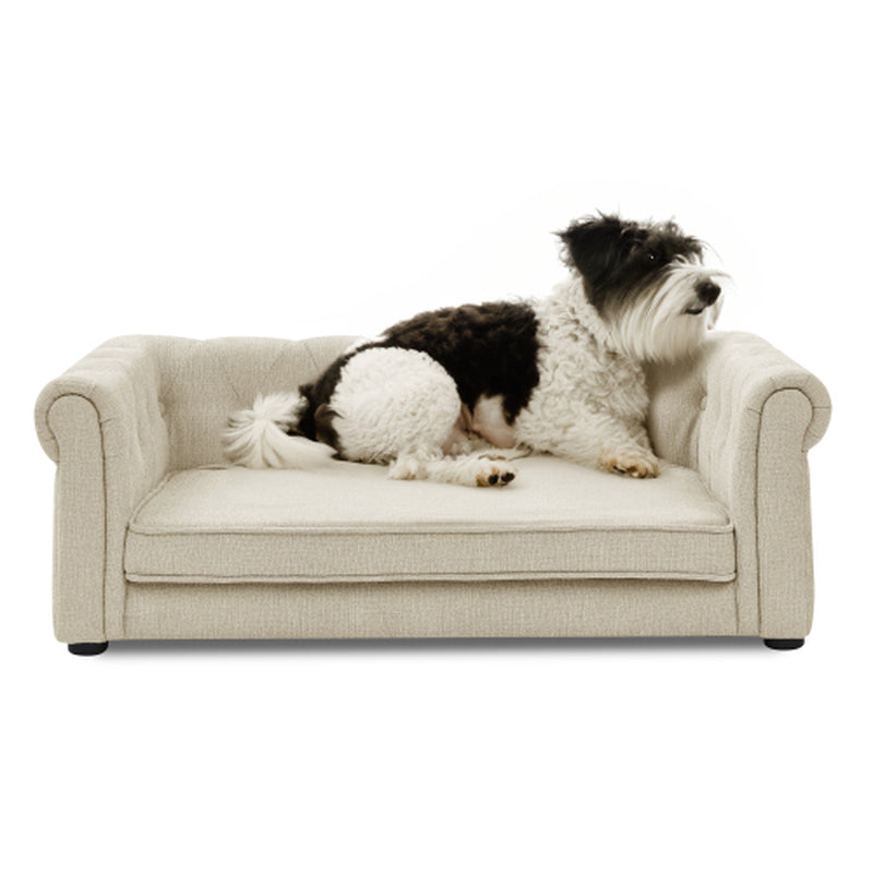 Orthopedic Elevated Dog Sofa Bed for Medium & Large Dogs, Modern Rectangular Pet Couch with Removable Washable Cover, Thick Foam Cushion, Durable Raised Pet Bed, Beige, 40 x 23 x 14 in