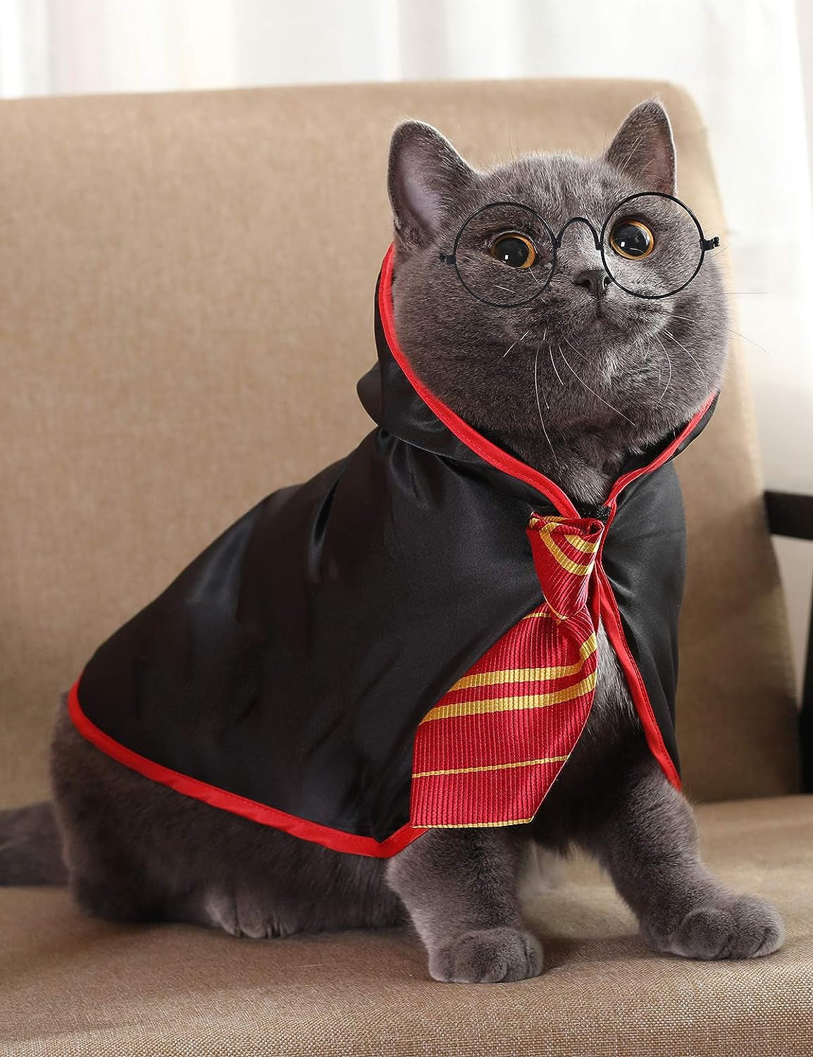 Halloween Cat Costume Wizard Cloak for Cats & Small Dogs, Anime Pet Costume with Velcro Closure, Soft Cosplay Outfit for Kitten, Puppy, Halloween Parties & Photos, Red, Small